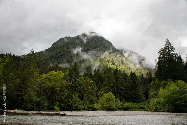 Obraz Cloud Over The Forest