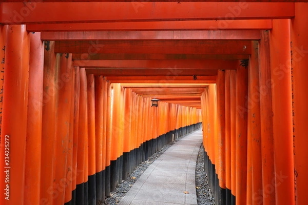 Fototapeta 伏見稲荷大社