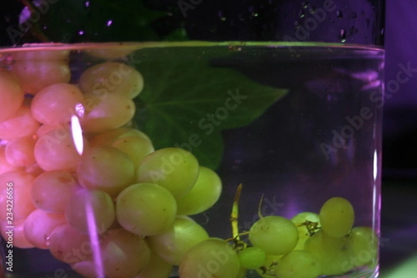 Obraz Uvas mojadas