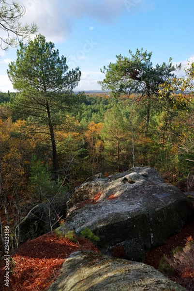 Fototapeta Apremont rocks in fontainebleau forest