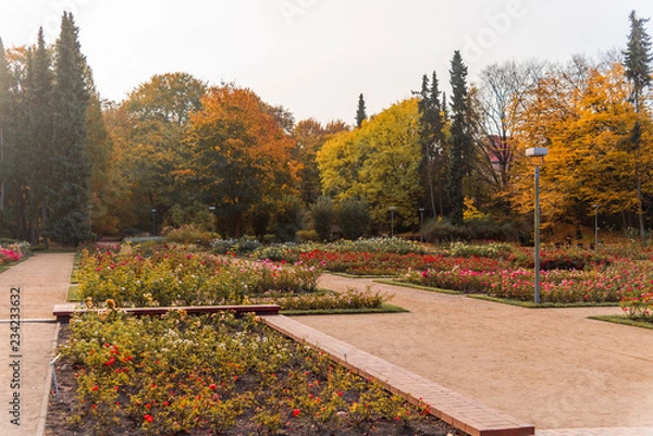 Obraz Jesienny Szczecin