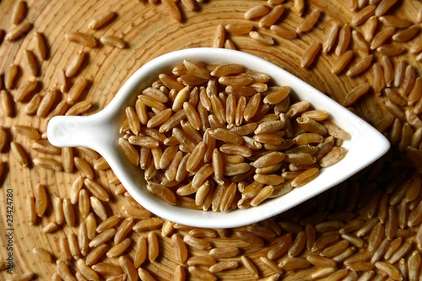 Obraz céréales kamut