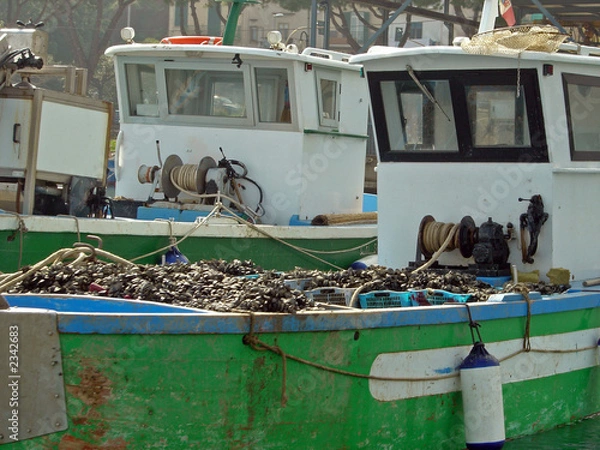 Obraz barche da pesca