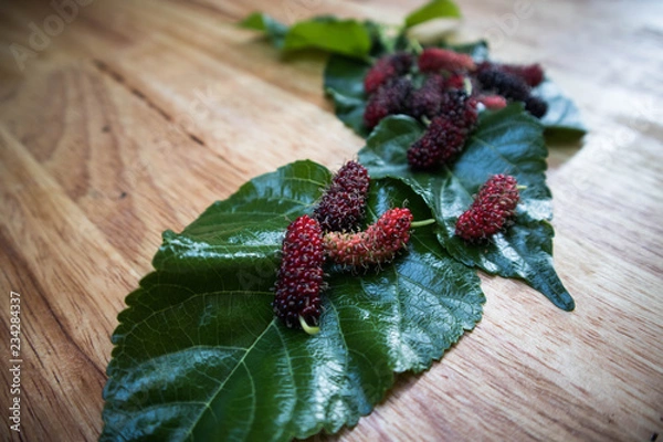 Obraz mulberry on table