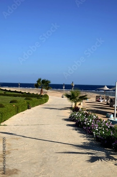 Fototapeta Plage de Marsa Alam (Sud de l'Egypte)
