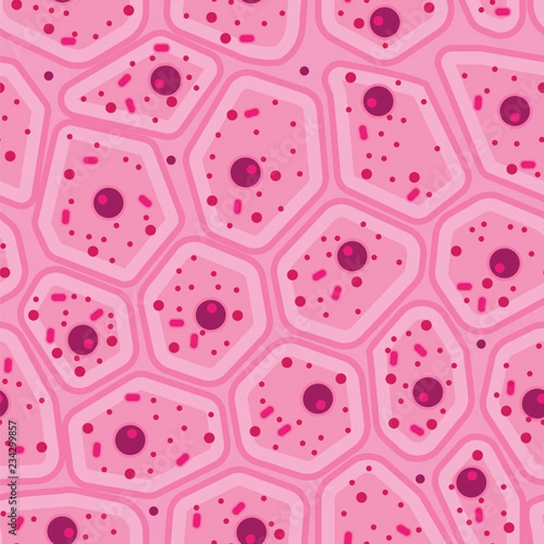 Obraz różowy wektor komórki ludzkiej skóry wzór