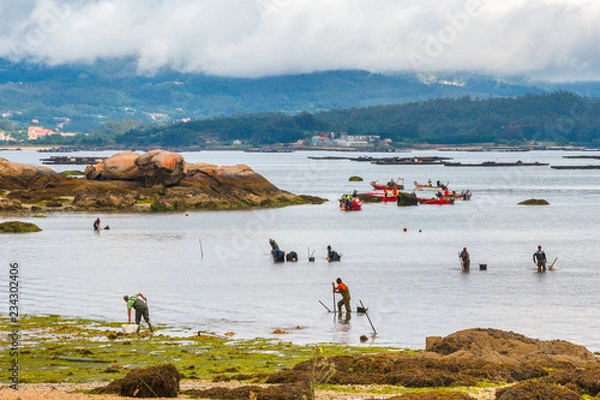 Obraz Shellfish fishermen