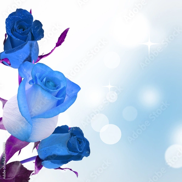 Obraz Blue rose