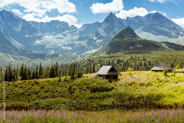 Obraz Hala Gasienicowa, Tatra mountains Zakopane Poland