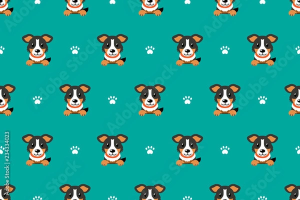 Fototapeta Vector cartoon character american shepherd dog seamless pattern
