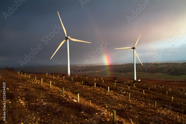 Fototapeta Molinos de viento