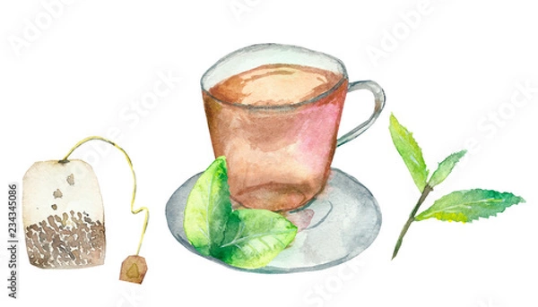 Fototapeta Watercolor tea Cup, tea bag and green tea leaves on white background for beautiful design and decoration, green tea Bud and fresh leaves.