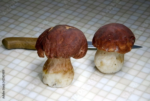 Obraz mushrooms in the kitchen2