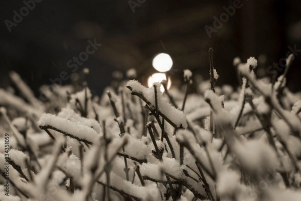 Fototapeta Bare bush branches covered in snow with street lights in the background No. 4