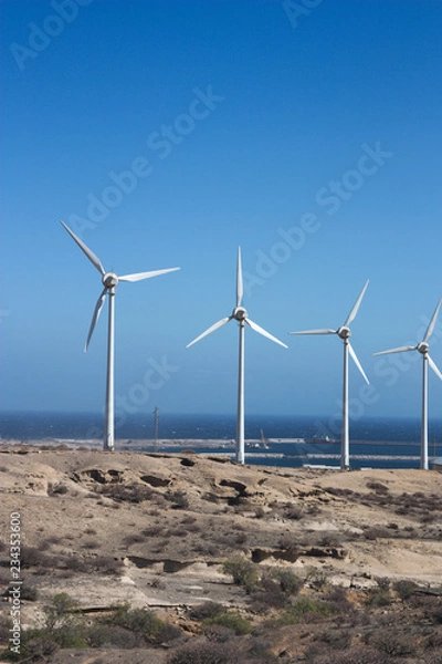 Fototapeta Set of wind turbines near the sea