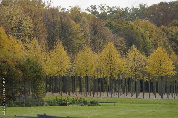 Obraz Herbststimmung