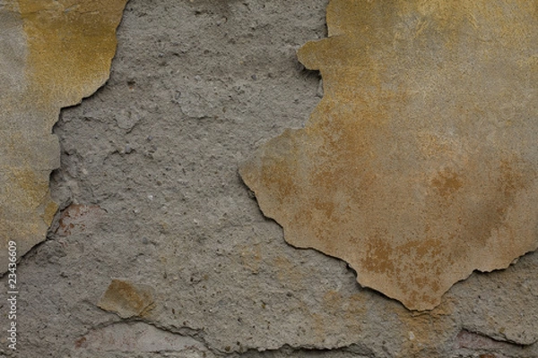 Obraz texture_muro03