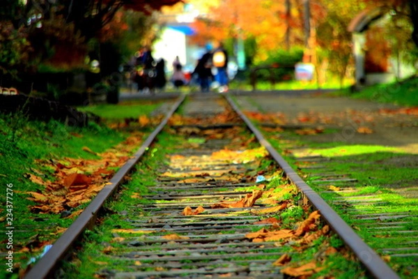 Fototapeta 小樽、旧手宮線跡地の散歩道の風景