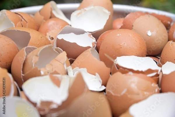 Obraz egg shell on texture and background