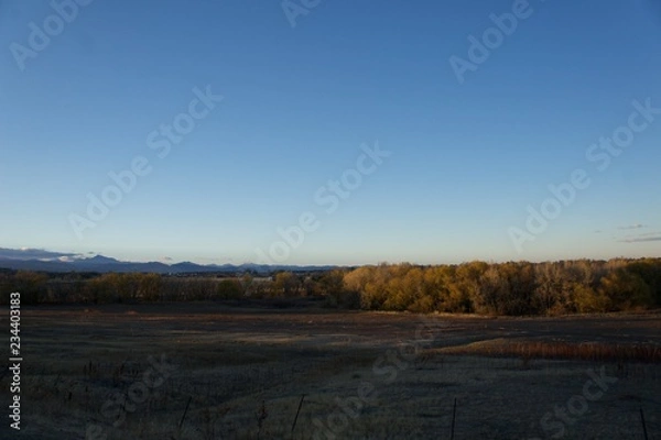 Fototapeta landscape with wheat field and blue sky