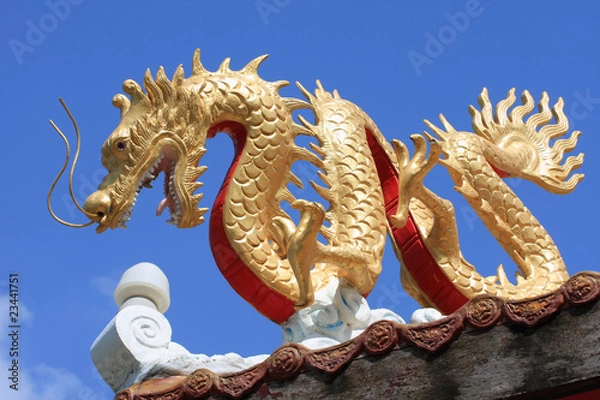 Obraz chinese gragon