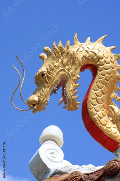 Obraz chinese gragon