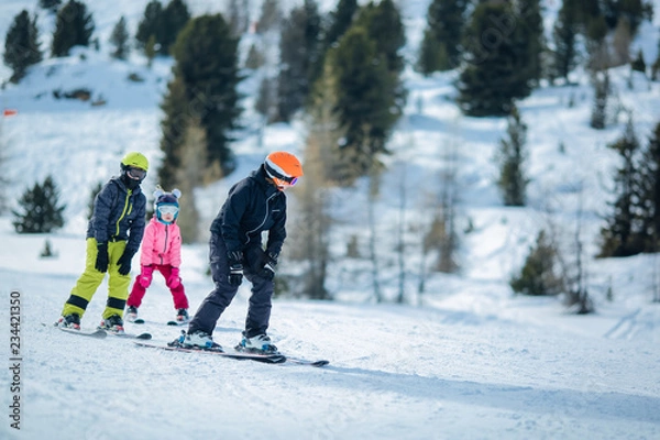 Fototapeta winter scene: a group of children are learning to ski
