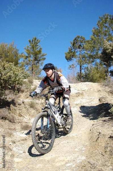 Obraz vtt en provence