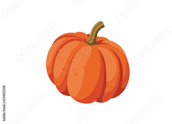 Obraz vector pumpkin, white background