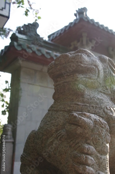 Obraz Chinese stone lion