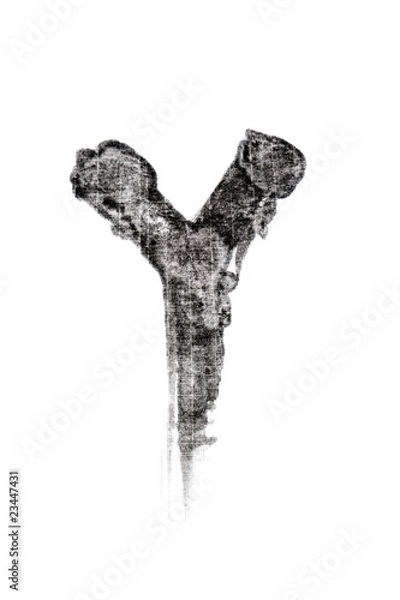 Fototapeta chinese Calligraphy brush of alphabet on white background.