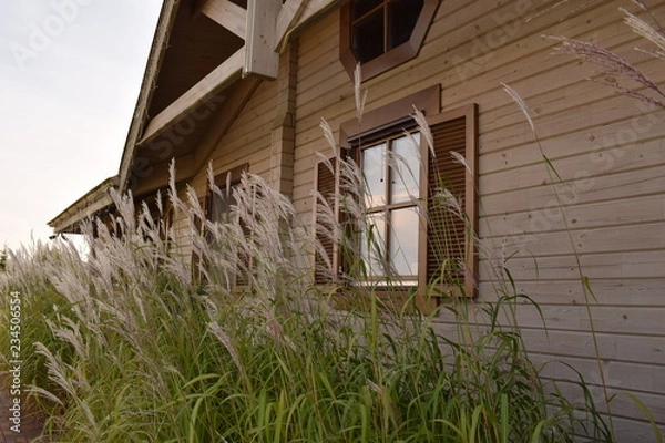 Fototapeta Field grass against the window of a lonely vintage wooden house in the afternoon.