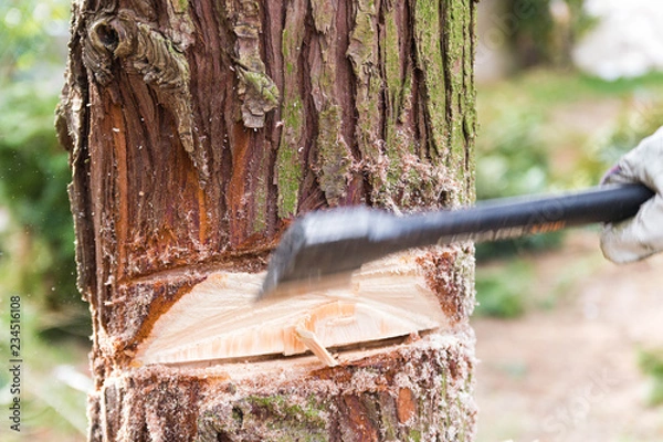 Obraz Schlag mit der Axt