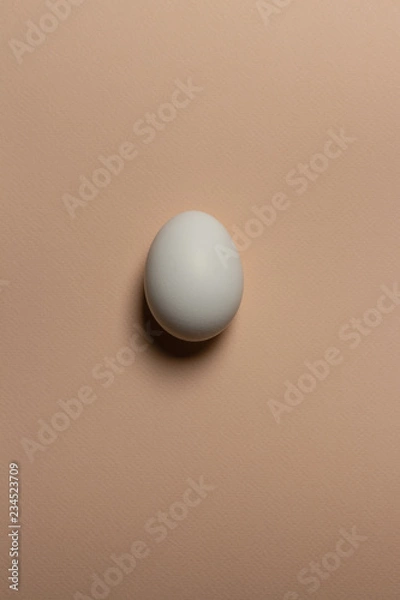 Fototapeta beige background. white chicken egg