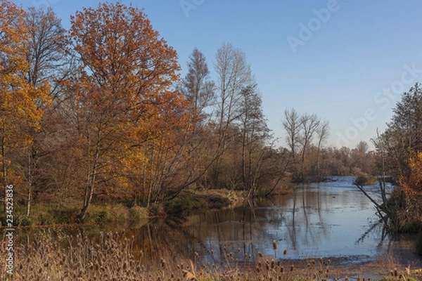 Fototapeta landscape