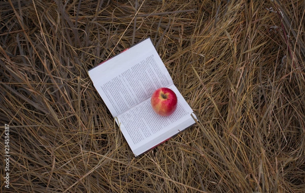 Obraz Book with apple