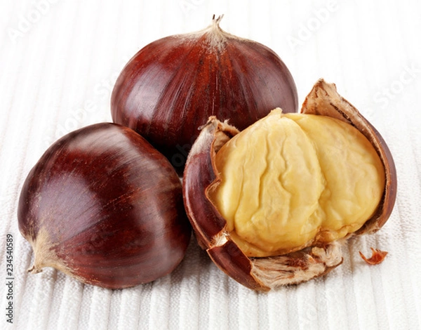 Obraz THREE CHESTNUTS