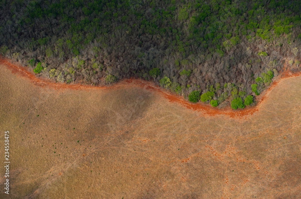 Obraz Land cleared for farming and surviving forest in Yucatan, Mexico.