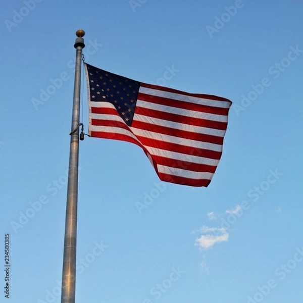 Obraz United States flag.