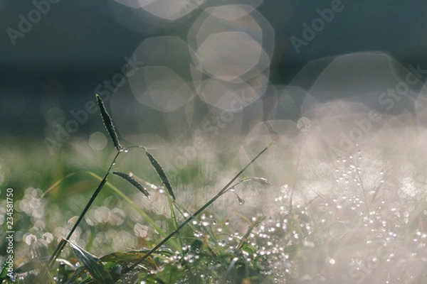 Obraz Blurred light background