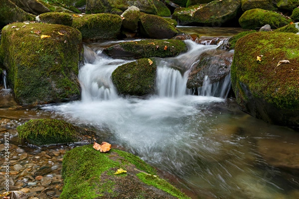 Fototapeta Mountain Stream In Autumn