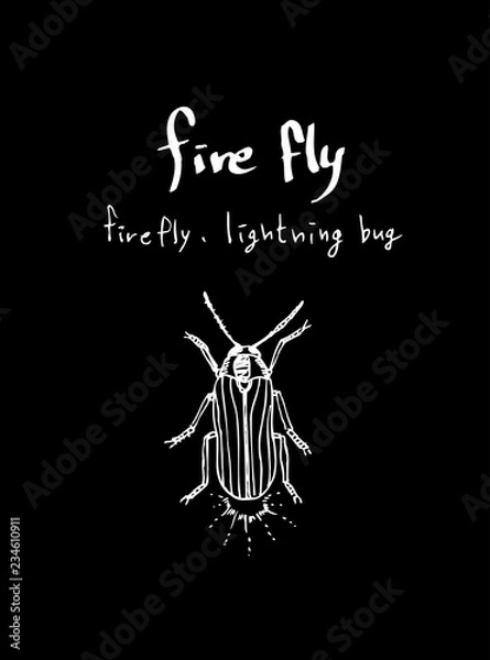 Fototapeta 곤충 일러스트 / 손으로 그린 곤충 스케치