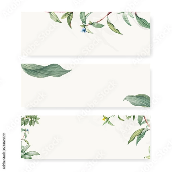 Fototapeta Green botanical leaves background design