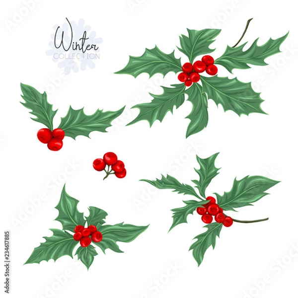 Obraz Set with a christmas plant