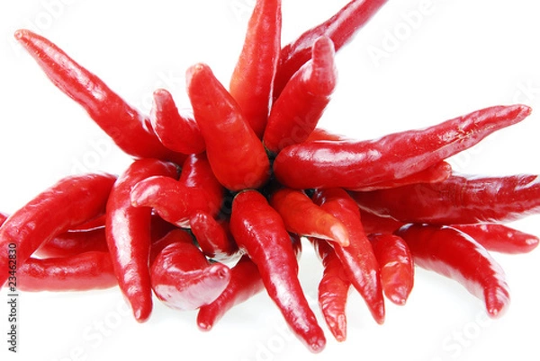 Obraz red hot chilli
