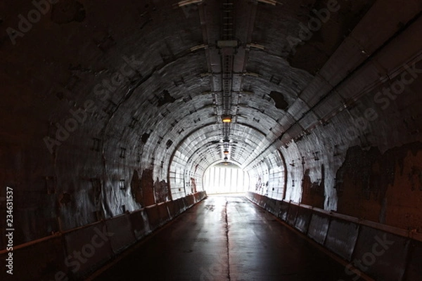 Fototapeta 田舎の古いトンネル