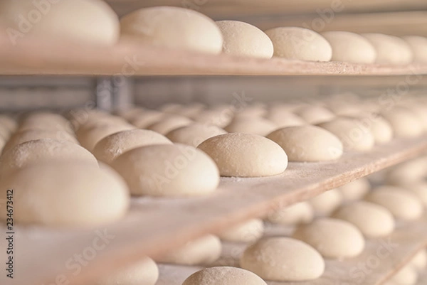 Obraz Dough. Bread dough. Fresh raw dough in product line