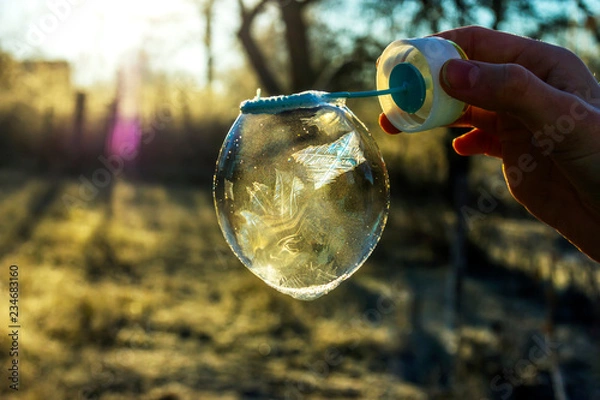 Obraz soap bubble is freezing in a cold