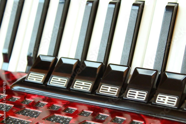 Fototapeta Accordion Keys Close-up. Background. Texture.