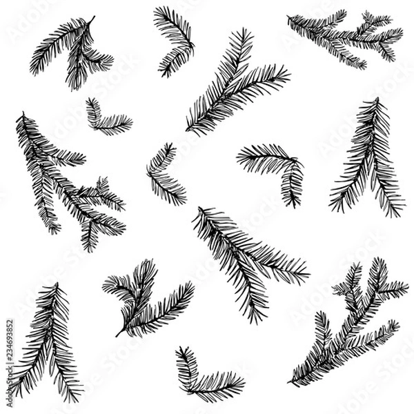 Fototapeta Seamless pattern with pine brunches and cones. Hand drawn vector